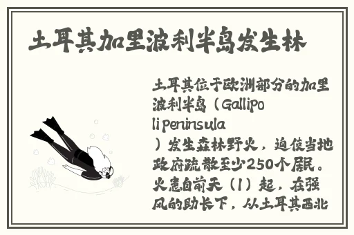 我的兔子好软水好多hl